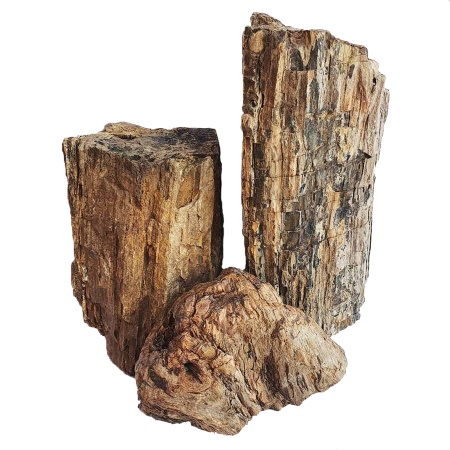 Piatra acvariu Wood Rock