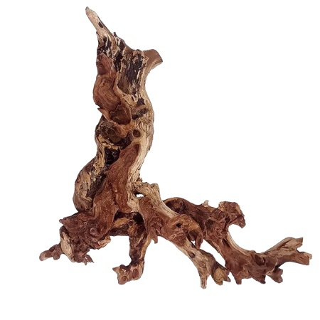 Radacina Drift Wood