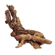 Radacina Drift Wood