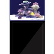 Acvariu Aquarium Systems 250L/171L Display +70L sump /60x52x55cm / negru